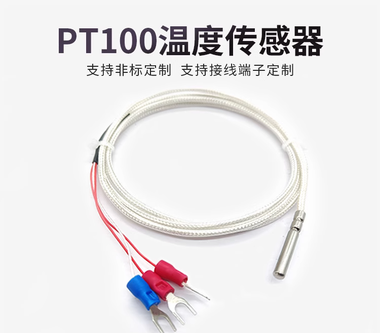 PT100精密温度传感器