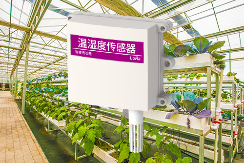 lora温湿度传感器