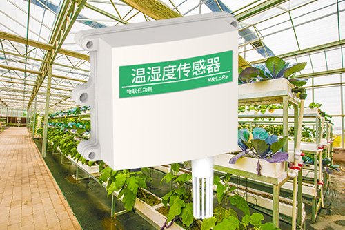 壁挂式温湿度传感器3