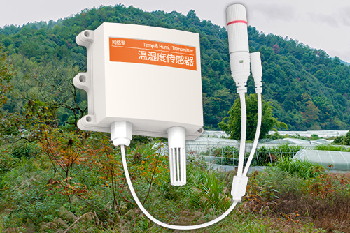 工业温湿度传感器2