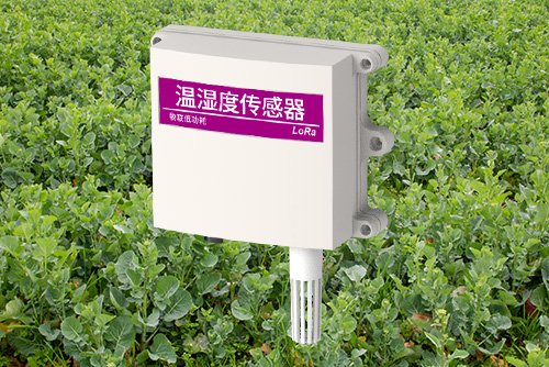风管温湿度传感器